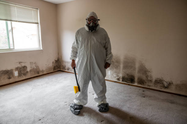 Best Emergency Mold Removal  in White Sulphur Springs, WV